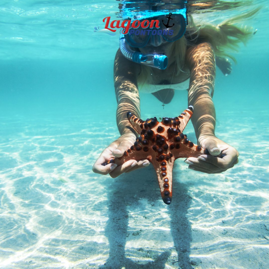 #DYK Panama City Beach is one of the top destinations for snorkeling in the country? 🐠🐠 #ThingsToDoPCB #LagoonPontoons #PCBfun #VisitPCB #adventurefl #visitflorid #realfunbeach #panamacitybeach #floridabeache #gulfofmexico #gulfcoast #florida #floridaliving #snorkel