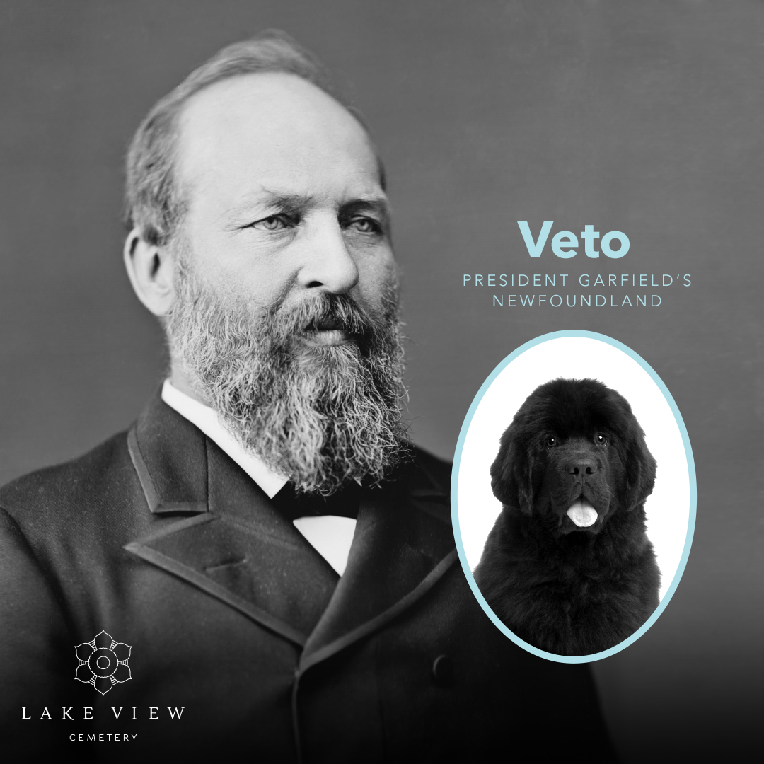 Lake View Cemetery tweet media