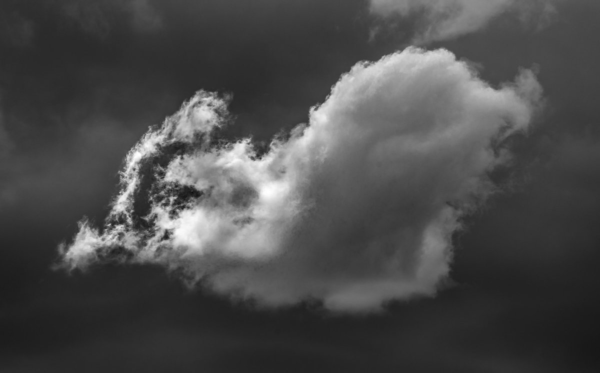 Cloudy days .

#blackandwhitephotography #clouds #photography #buildup #pilbara ##landscapephotography #raw_bnw #raw_community #canonaustralia #shimodadesigns #gothere #kuhlmtnkampsite #sandiskapac #3leggedthing #nisifiltersanz