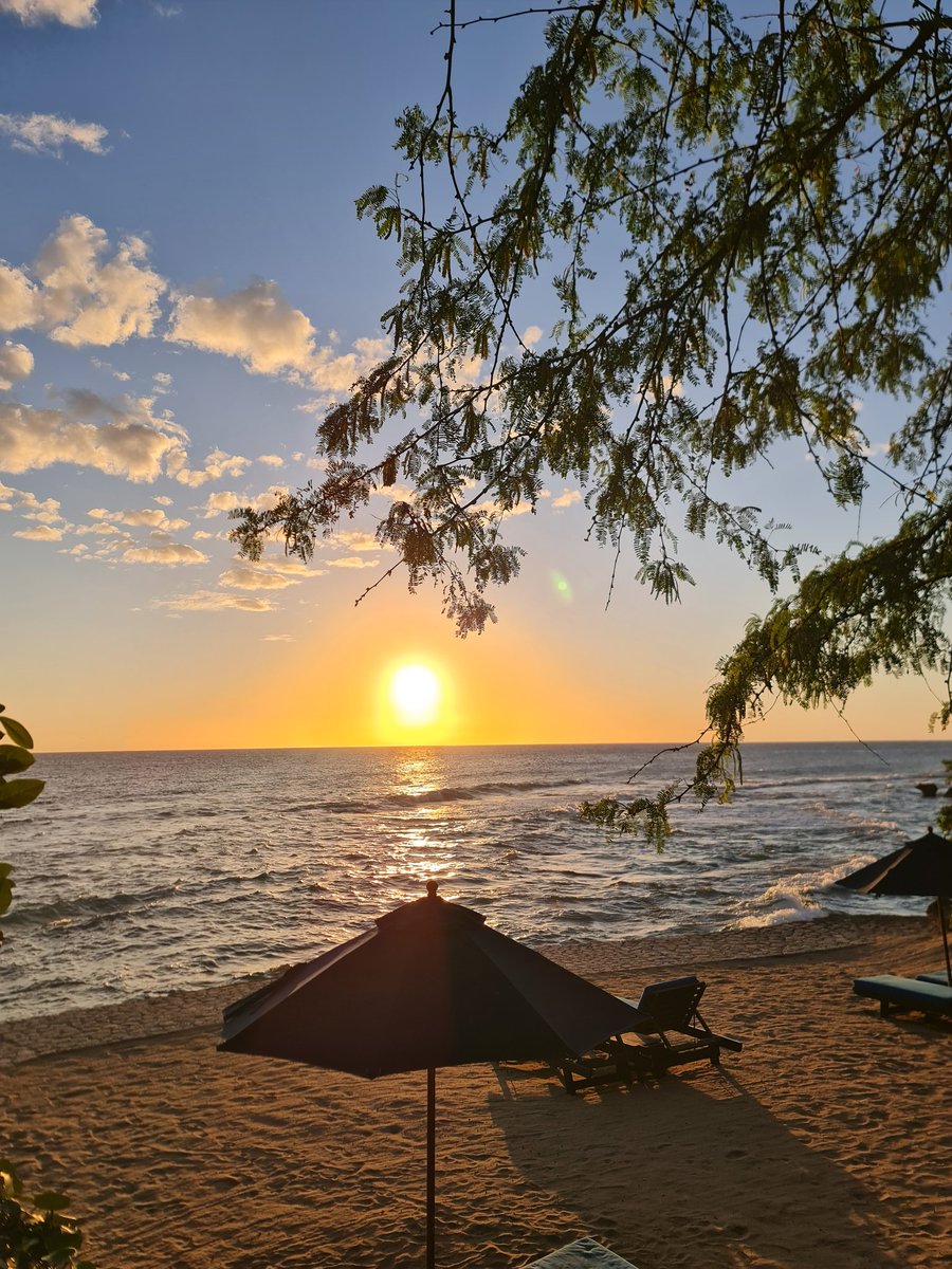 BookOfCinz's tweet photo. There's something about Jamaica. If you know, you know. https://t.co/xqoBy0oyXN