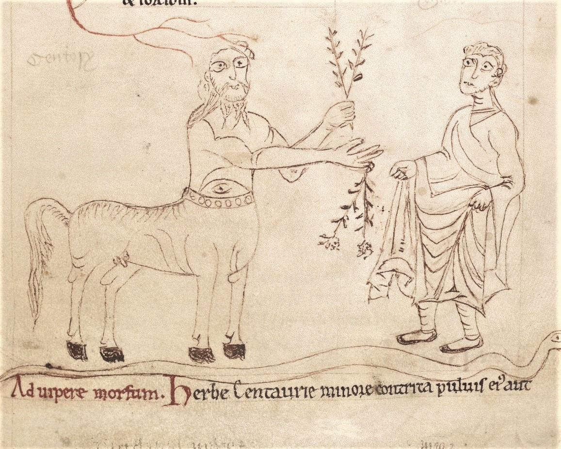 thank you mr centaur, england, 12th century