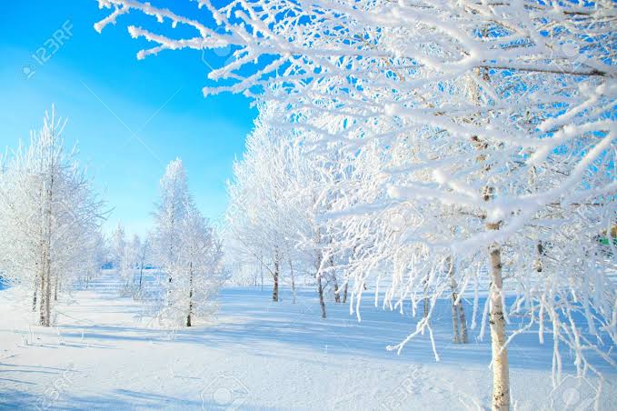 Avargas2403's tweet photo. 🍾 #HappyNewYear 🥂
365 Days
Of fellowship
Respect
Kindness
Consideration
Time
Support
Work
Love
Heart
Let's all go 🛫 for 365 days loaded with blessing &amp; happiness💃
#Gratitude
#DearFriends
For being part of my path
&amp; Be by my side all year
#LoveFromPeru 💙
To the whole World 💌 https://t.co/X5oGe4gw2c