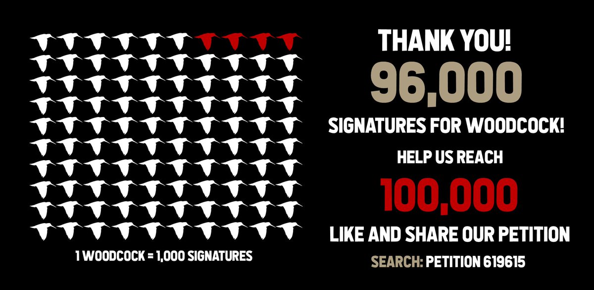 WildJustice_org's tweet photo. We're so grateful for your support, thank you, we're now less than 4,000 signatures away from 100,000, which will secure us a debate in parliament. Please help us spread the word, and reach 100K before the New Year! https://t.co/oWEpuTIWrR https://t.co/Y98aYnuZvh