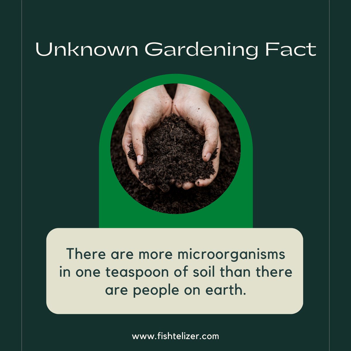 Fishtelizer's tweet photo. 📢📢Unknown Gardening Fact📢📢
We offer the premium fertilizer for healthier and faster growth of your indoor and outdoor plants.
Link is in bio.
#fishtelizer #fish #fishfertilizer #growplants #winterizeplants #bestfertilizer #fertilizer #fishproteins #nitrogenrichfertilizer https://t.co/R1OaMbmG2f
