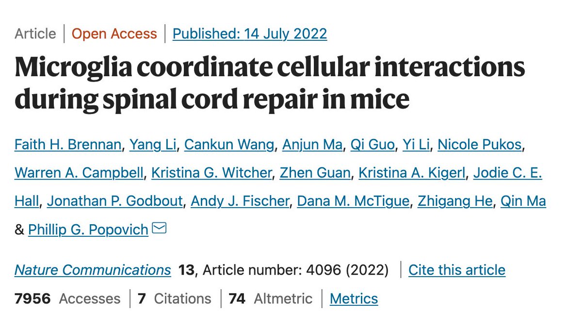 OhioStateCBI's tweet image. Science is awesome and rewarding it is extra fun! Congrats to our 2023 CBI Paper &amp;amp; Image of the Year winners:

👉 POY: @FaithBrennan01 of @PhiPop/@McPopLab_OSU published in @NatureComms, July 2022. 
👉 IOY: Andrea Tedeschi, PhD of @TedsunL, featured in our 2022 Annual Report!