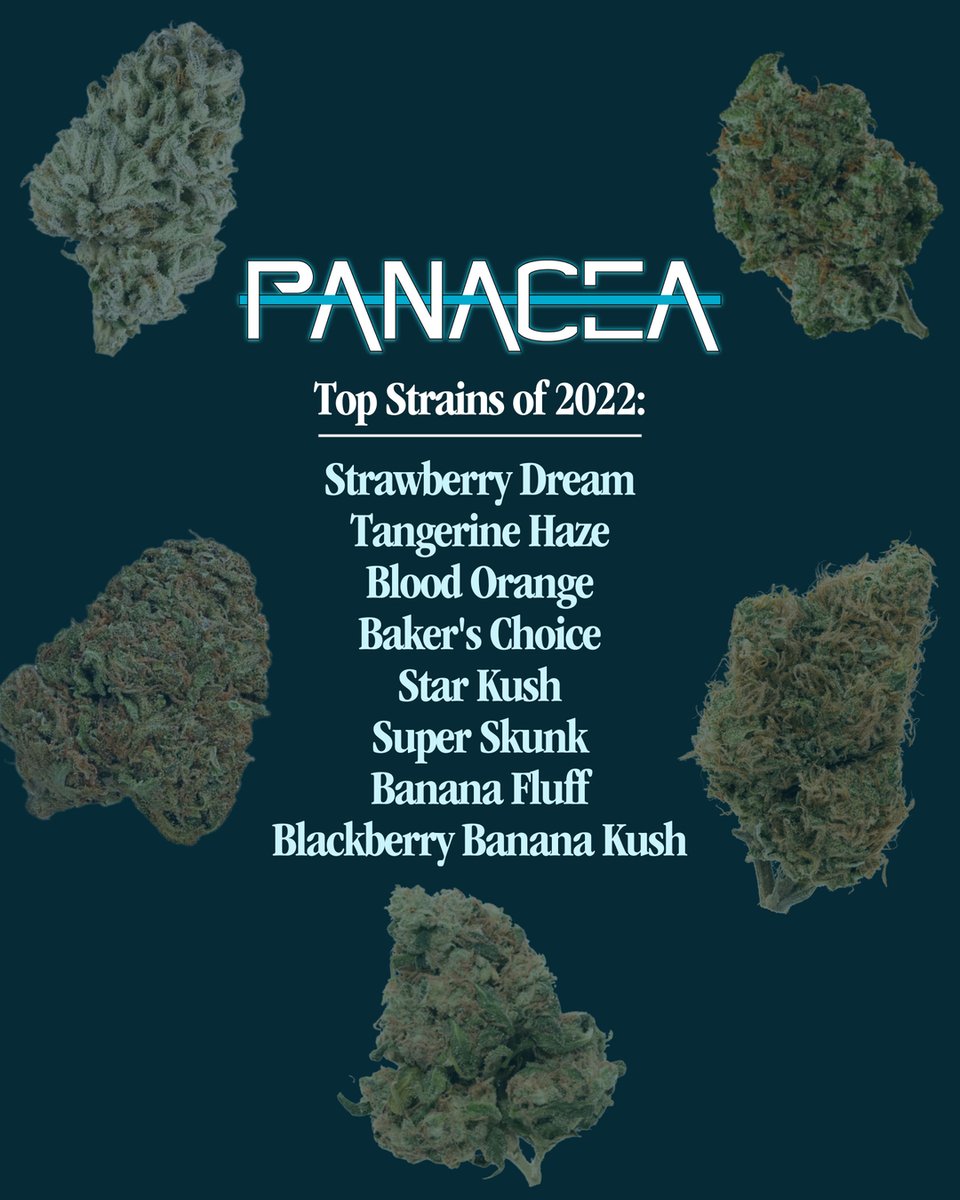 panaceabycraft tweet media