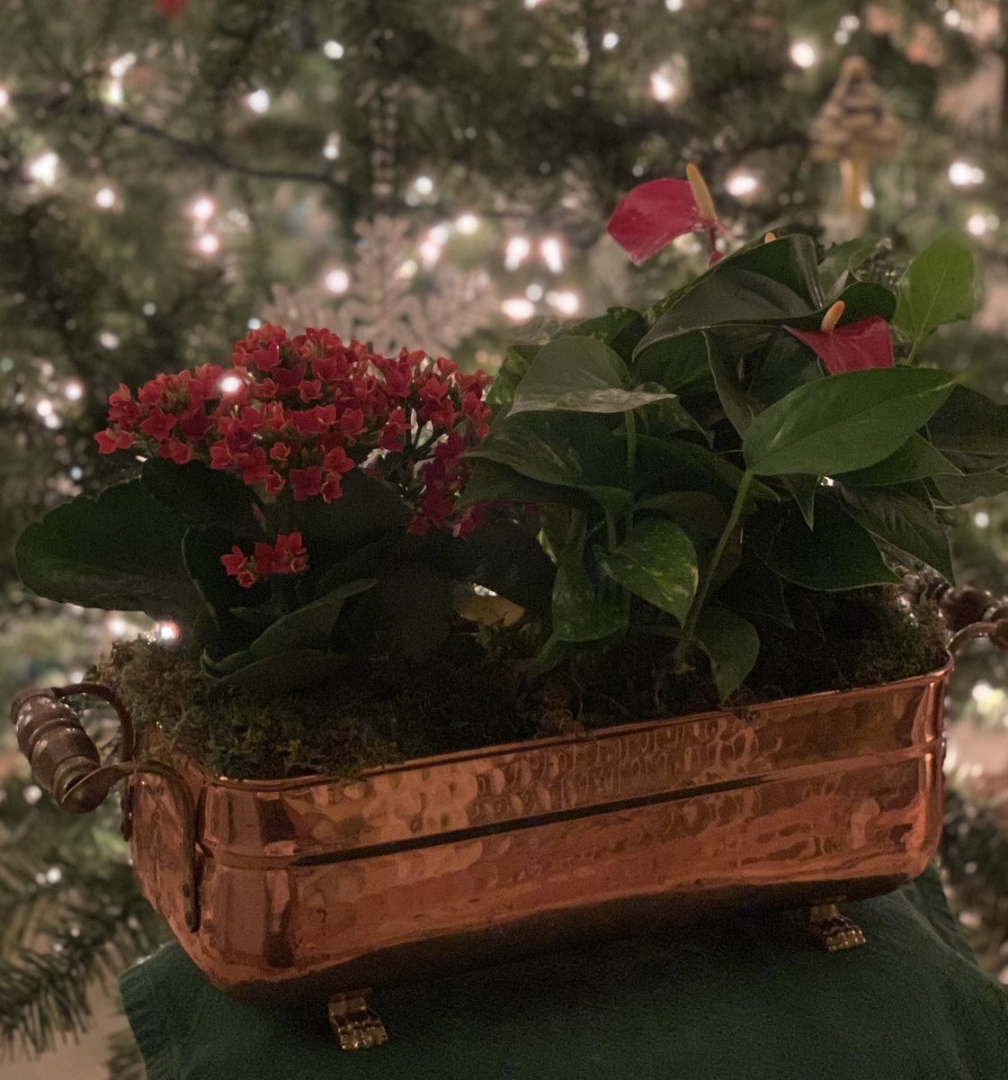 My home, my happy place! #holidays #Christmas #homedecor #homedesign #homedecorideas #homedecoration #family #lifestyle