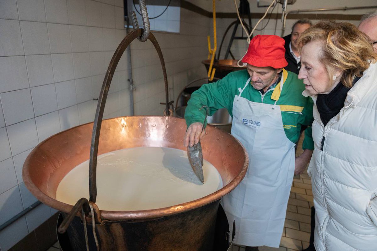 Letizia Moratti tweet media