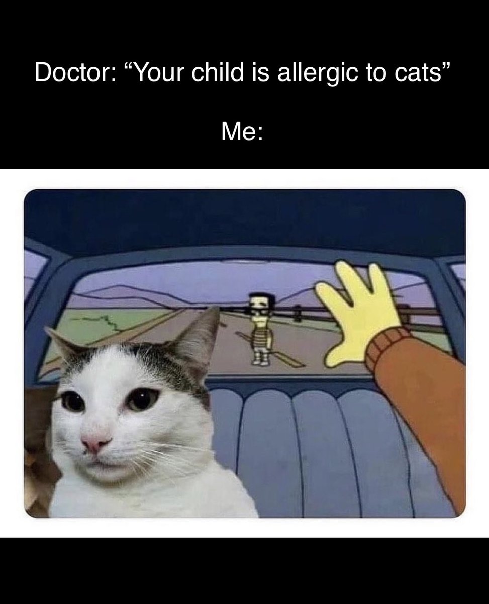 VetInternalMed's tweet photo. #veterinarymedicine #vetmed #veterinarian #veterinary #vetstudentproblems #vetstudent #vet #vetschool #vettechlife #vetmemes #vettech #vetnurse #vetcommunity #rvn #dvm #veterinária #veterinarytechnician #veterinaire https://t.co/TLzKerO7Z5