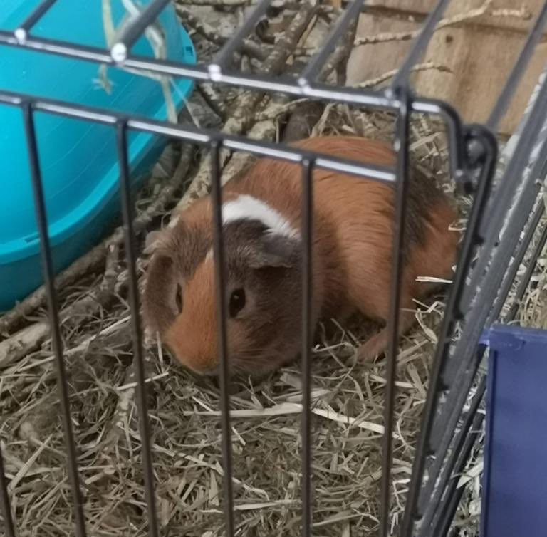 Skover Dryksifyer tweet media