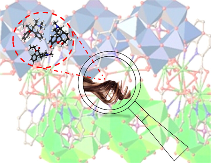 bhkenlo's tweet photo. Opioid Drug Detection in Hair Samples Using Polyoxometalate-Based Frameworks https://t.co/DrSwFz202T Mirzaei, Amiri, and co-workers @InorgChem #lanthanides #POM #frameworkers #opioid #hair https://t.co/DKEeBtsos2
