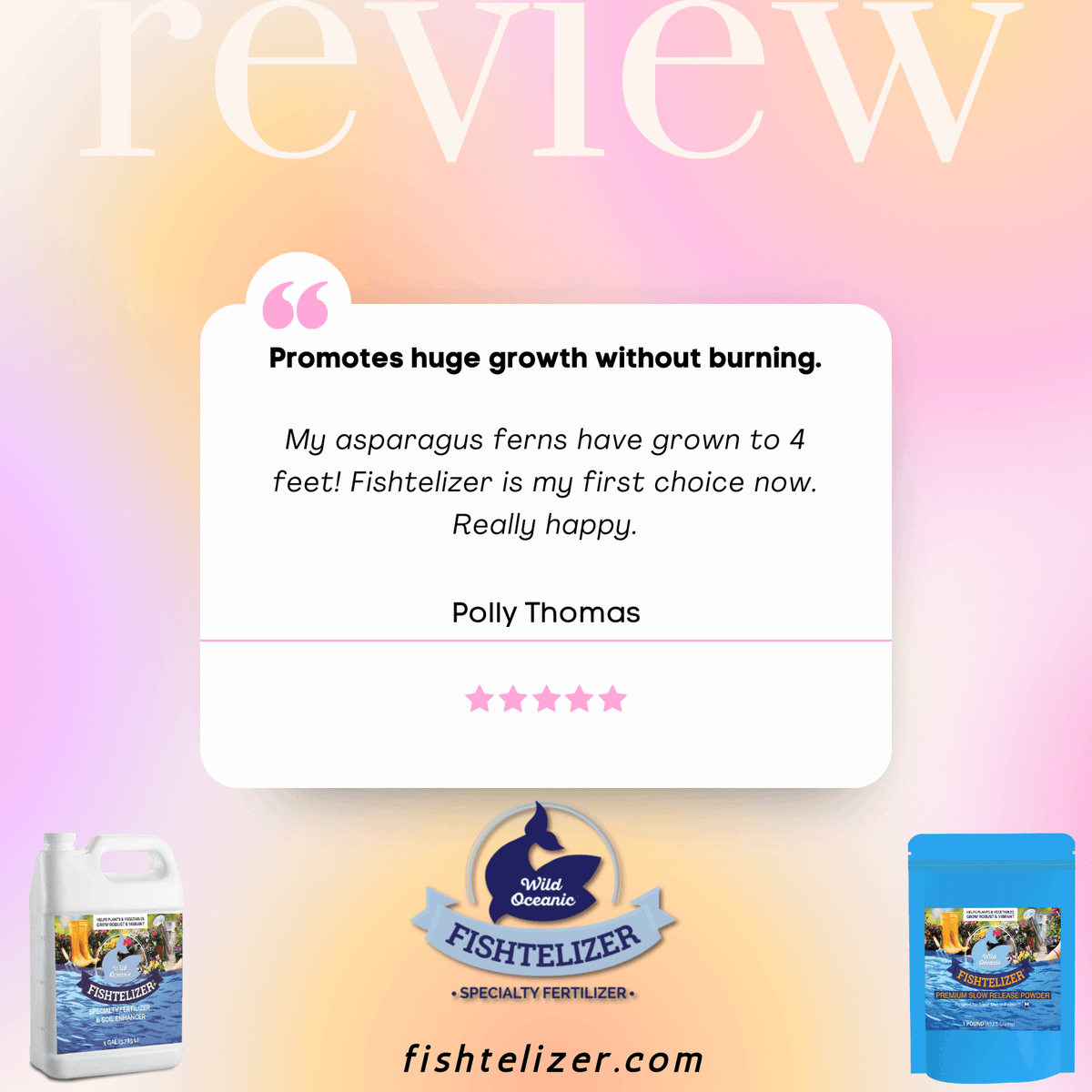 Fishtelizer's tweet photo. "FEATURED REVIEWS"
Happy planting!
Link is in bio.
.
.
.
#fishtelizer #fishfertilizer #growplants #winterizeplants #bestfertilizer #nitrogenrichfertilizer #fertilizer #nitrogenrichfertilizer #planting #gardening #gardeningathome #growvegetablesathome #ecofriendly https://t.co/gVPGnhbirz