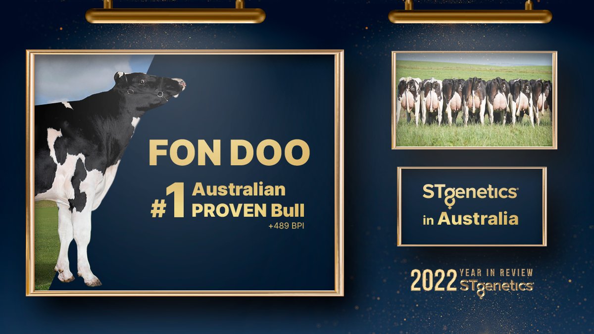 STgenetics's tweet photo. Success from one side of the world to the other! ๐ What a year to remember for #STgenetics in Australia! ๐ฆ๐บ Straight to the Top in 2022: FON DOO from #STgeneticsAustralia is the #1 Australian proven BPI Sire, following the December Proof release! ๐ฅ#Ultraplus #FONDOO https://t.co/l0rloWi1Ju