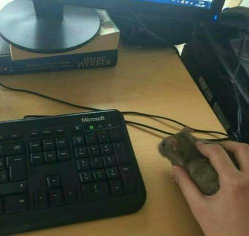 🧛🏿 tweet media