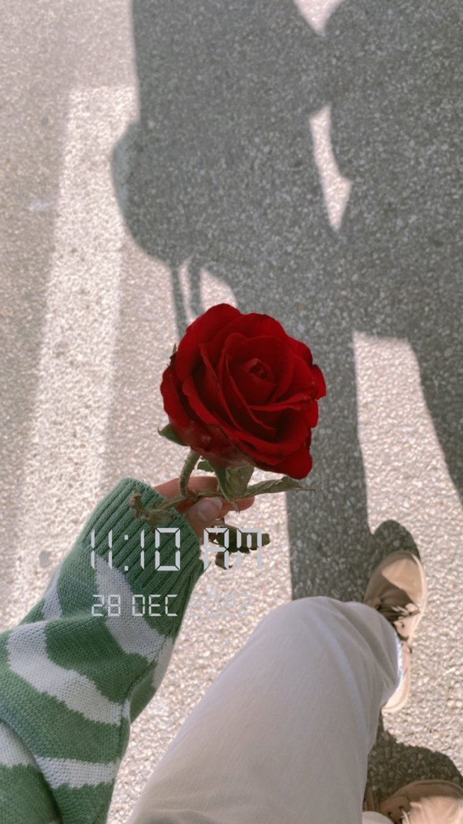 يوم لطيف من اوله ل اخره✨