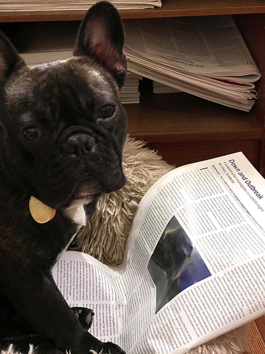 My dog Moe’s response when told that the issue of Bookforum he’s reading is the last.