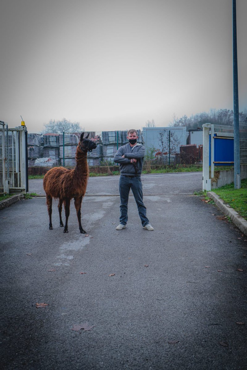 Samuel Corgne tweet media