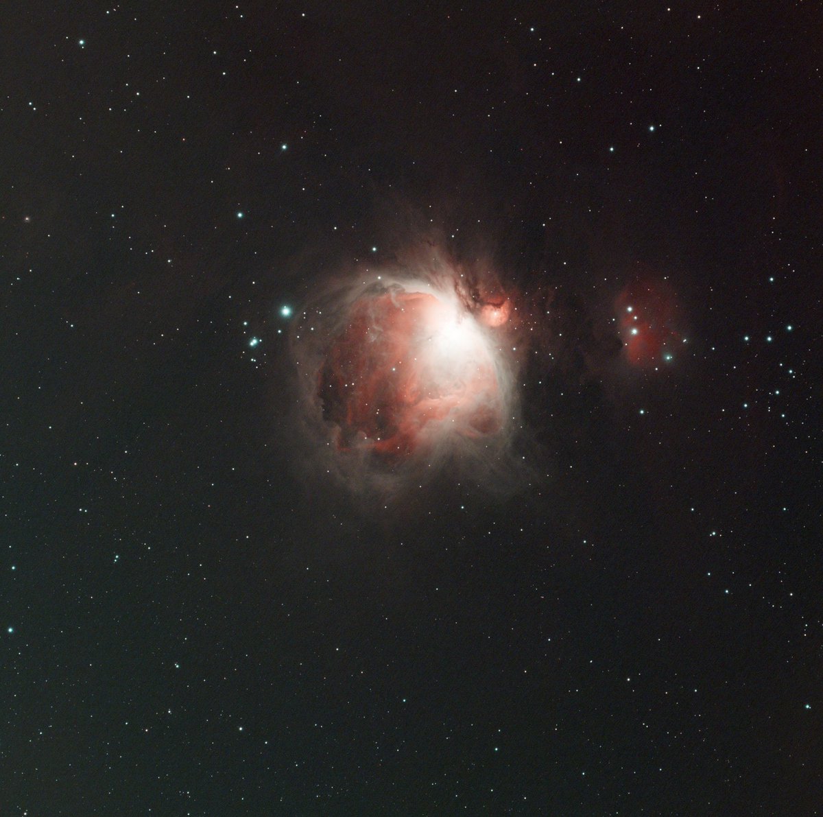 1hr 20mins of pointing my telescope at the Orion nebula. Shot from under a street light in my backyard with optolong ultimate filter. Processed in Siril. Not bad for first night with new gear...