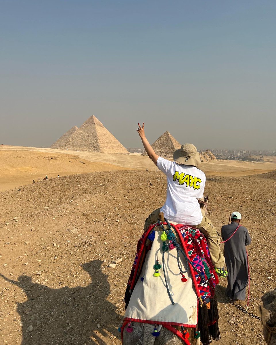 franalations.eth tweet media