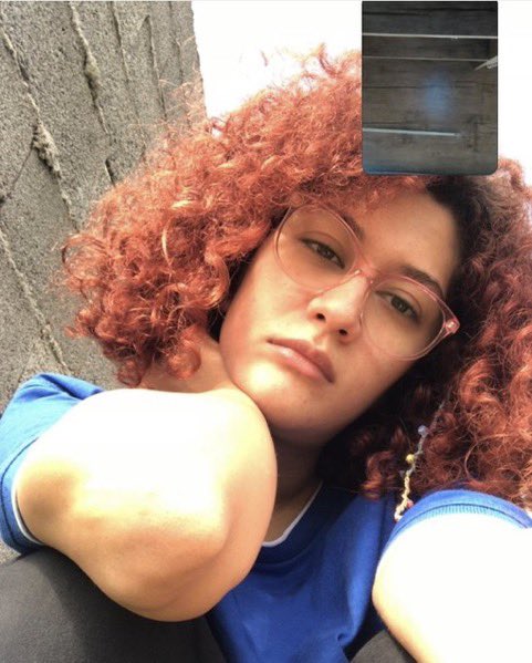 Nathalie Goulet tweet media