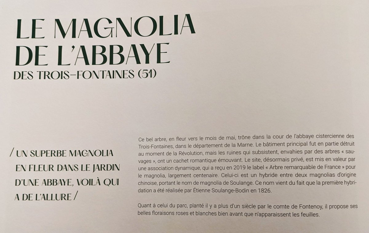 Abbaye de Trois-Fontaines (@abbaye3f) on Twitter photo Le Magnolia de l'abbaye de Trois-Fontaines dans "Les Arbres les plus Remarquables de France" 🌳🌸💚
<a href="/A_ARBRES/">A.R.B.R.E.S</a> #arbreremarquable #grandest #saintdizier Le Magnolia de l'abbaye de Trois-Fontaines dans "Les Arbres les plus Remarquables de France" 🌳🌸💚
<a href="/A_ARBRES/">A.R.B.R.E.S</a> #arbreremarquable #grandest #saintdizier