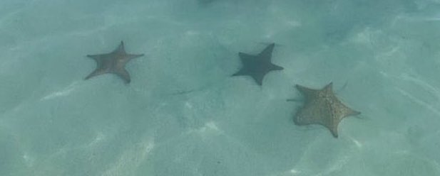 Out of Context Scaloneta (@oocscaloneta_) on Twitter photo 