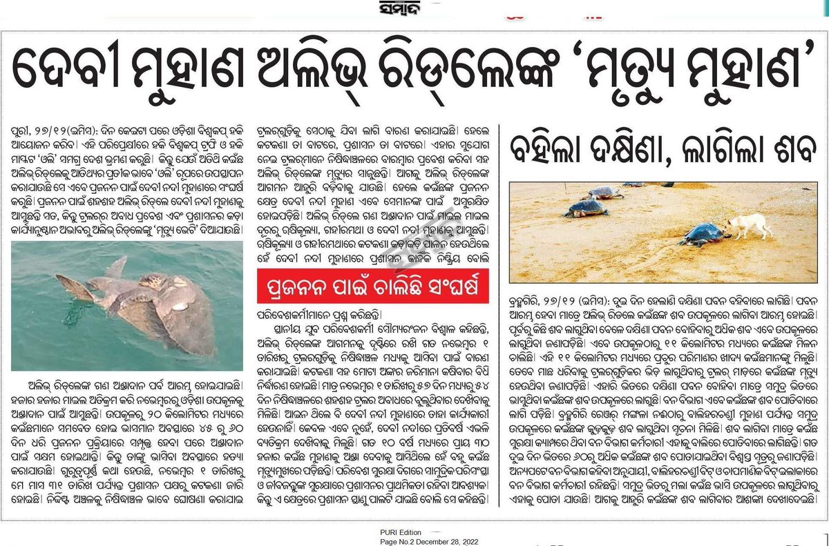SoumyaMarineWL's tweet image. Big thanks to all mainstream media @DharitriLive1 @XpressOdisha and 
@sambad_odisha for joining the operation #SaveOliveRidley in Devi River Mouth.

We demand the urgent review and modification of the existing guidelines under OMFRA &amp;amp; poor implementation by @farddept. @CMO_Odisha