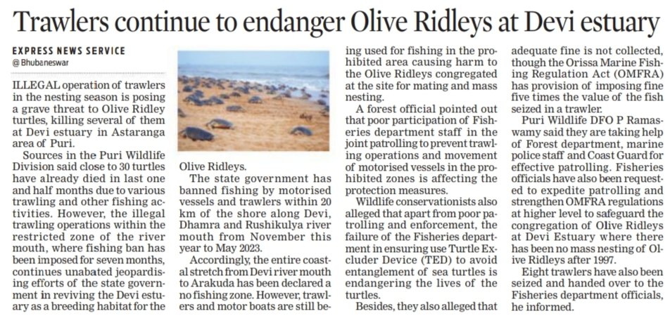 SoumyaMarineWL's tweet image. Big thanks to all mainstream media @DharitriLive1 @XpressOdisha and 
@sambad_odisha for joining the operation #SaveOliveRidley in Devi River Mouth.

We demand the urgent review and modification of the existing guidelines under OMFRA &amp;amp; poor implementation by @farddept. @CMO_Odisha