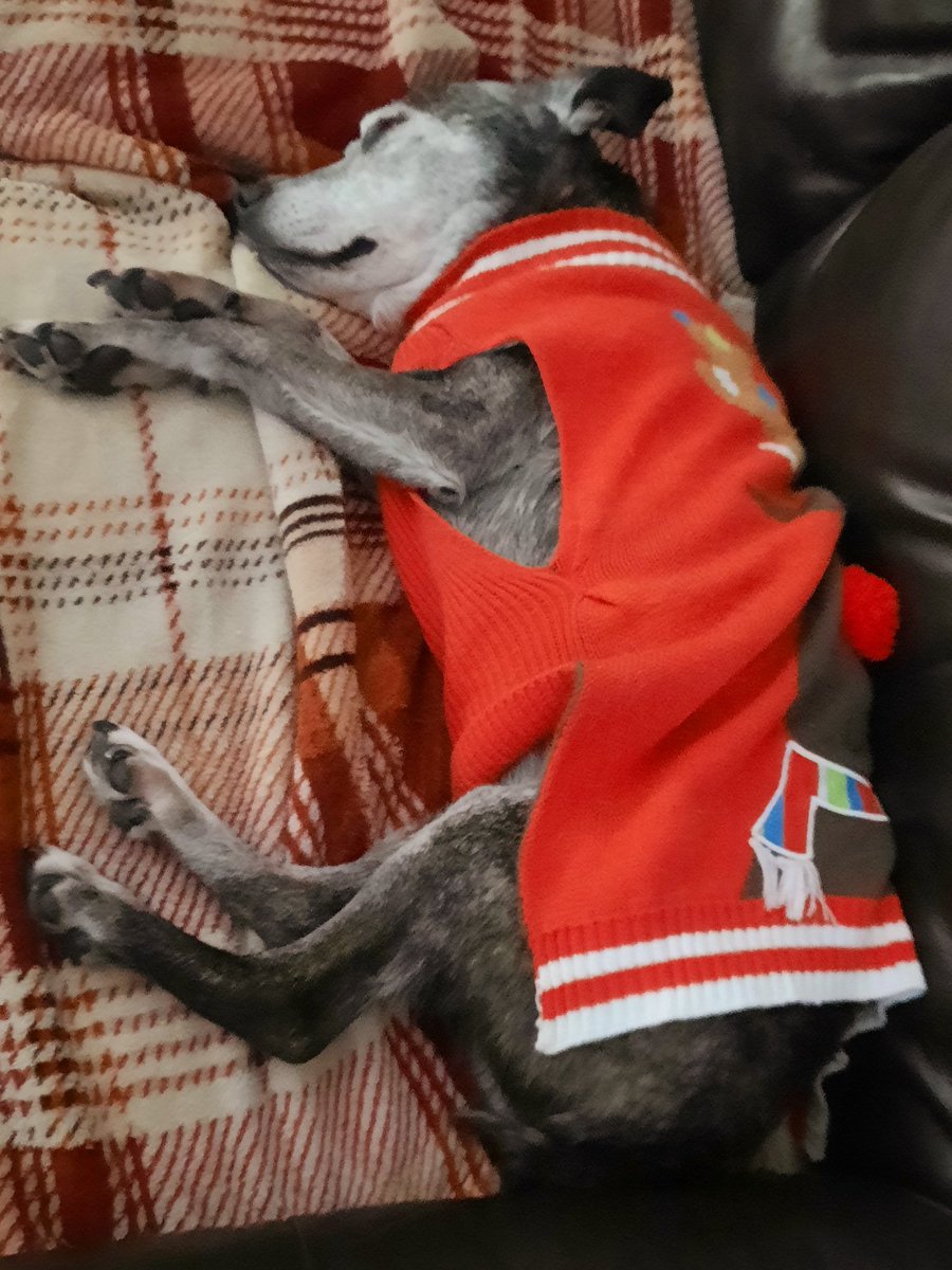 Christine Bore 💙 tweet media