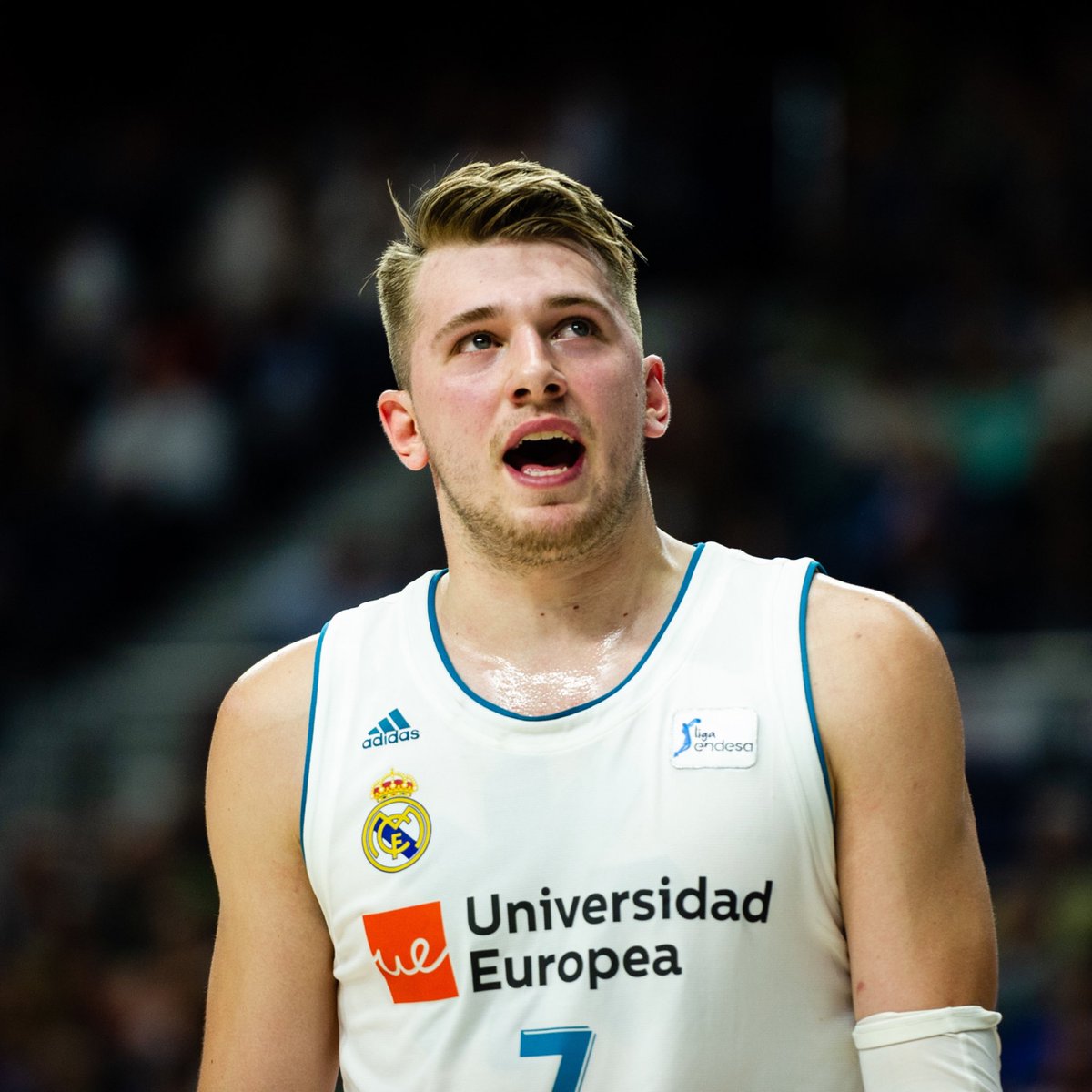 ELLEONRMA's tweet photo. 60-21-10 🤯
Luka Dončić making history. #MadeInMadrid https://t.co/Edz08eG6Kf