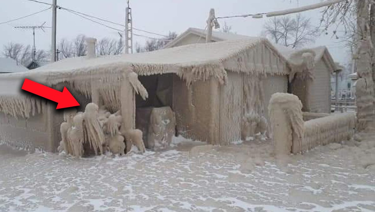 TuCosmopolis's tweet image. NUEVA YORK enterrada BAJO LA NIEVE, BOMBA CICLÓN golpea BÚFALO
youtu.be/ktNuVbHYDUQ