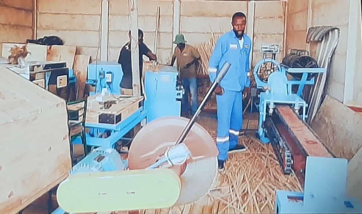 Rowen Meda "the Bamboopreneur"🇿🇼 tweet media