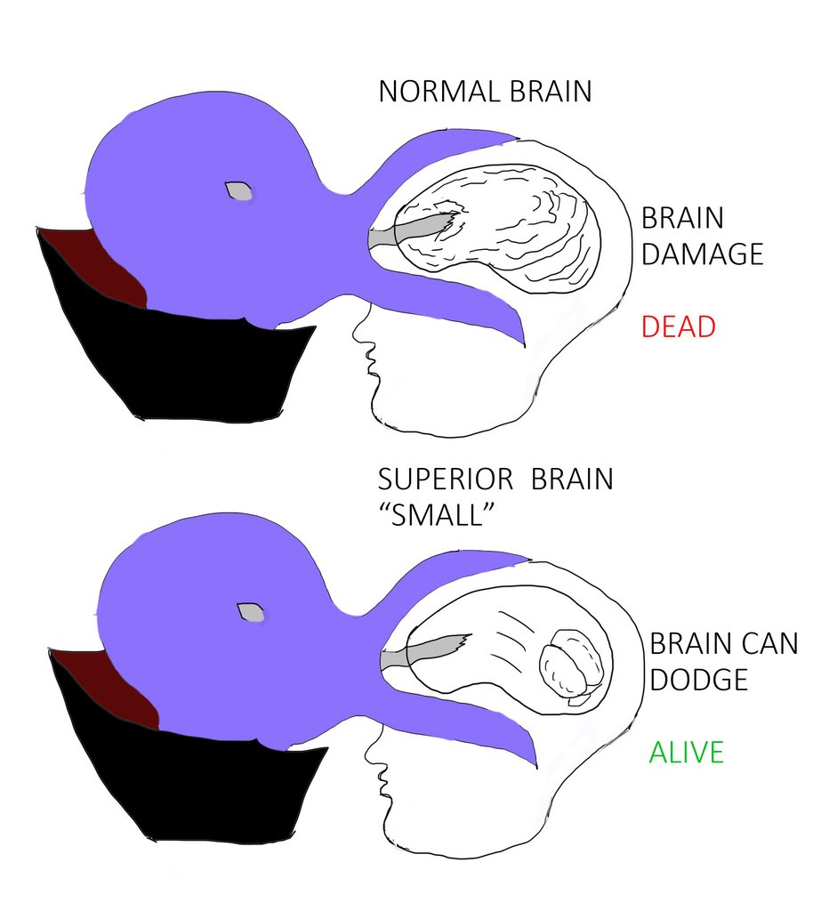 epicdndmemes's tweet photo. #dnd #ttrpg https://t.co/TE6GtgHKyq