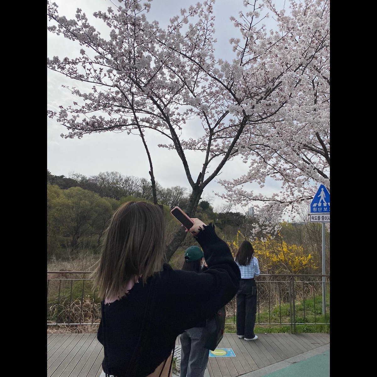NMIXXTurkiye's tweet photo. Seni seviyorum!!

#Doğumgünün #kutluolsun #seni #seviyorum 😗
#JinsolDay https://t.co/1JzCBoBMk0