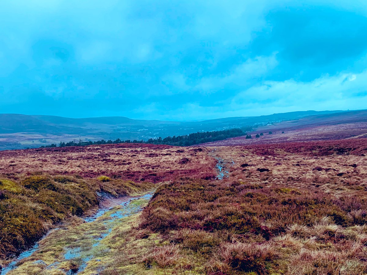 Viv (@vefevans) on Twitter photo Leaden clouds, but a glimpse of the blue occasionally. Very invigorating with the breezy conditions. Partially walked partially flew! <a href="/BlaenavonB/">Blaenavon&Beyond</a> <a href="/VisitBlaenavon/">Visit Blaenavon</a> Leaden clouds, but a glimpse of the blue occasionally. Very invigorating with the breezy conditions. Partially walked partially flew! <a href="/BlaenavonB/">Blaenavon&Beyond</a> <a href="/VisitBlaenavon/">Visit Blaenavon</a>