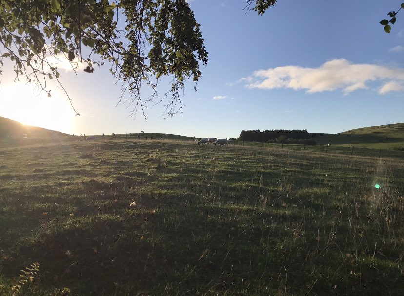 Simoonfransen's tweet image. Interested in joining us in our upcoming 13 month adventure? Lab 28 - a space to #transform the imagination into #realisation: a guided collective and #joyful #journey. Learn more here: forms.gle/Zuvrv92fSrmpHb…
#newyear #NewYearsResolution #imagination #action #thetimeisnow #life