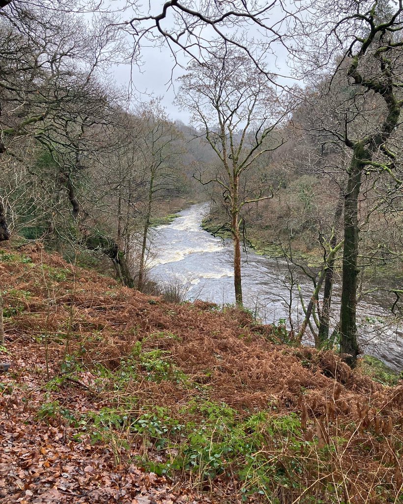 John_Salt's tweet photo. A day out in the fresh air. Just the tonic after the festive weekend. Rained all day but loved it. #boltonabbey #rain #waterproofs #rightgear #stayeddry #toowarm https://t.co/XTBn4y4PmB