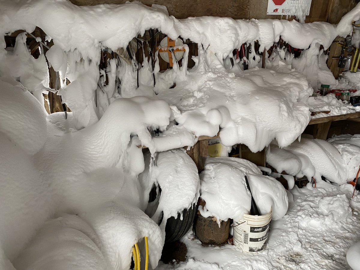 Dad - just go in the shed to grab a vise grip- they are on the bench
Me - Ummm?