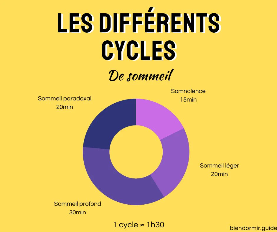 🔄 Cycles du sommeil : ce qu’il faut savoir

Ces cycles sont divisés en deux types de sommeil : le sommeil lent et le sommeil paradoxal 💤 
👉 Consultez notre article dédié : buff.ly/3HXZyz5 
#sommeil