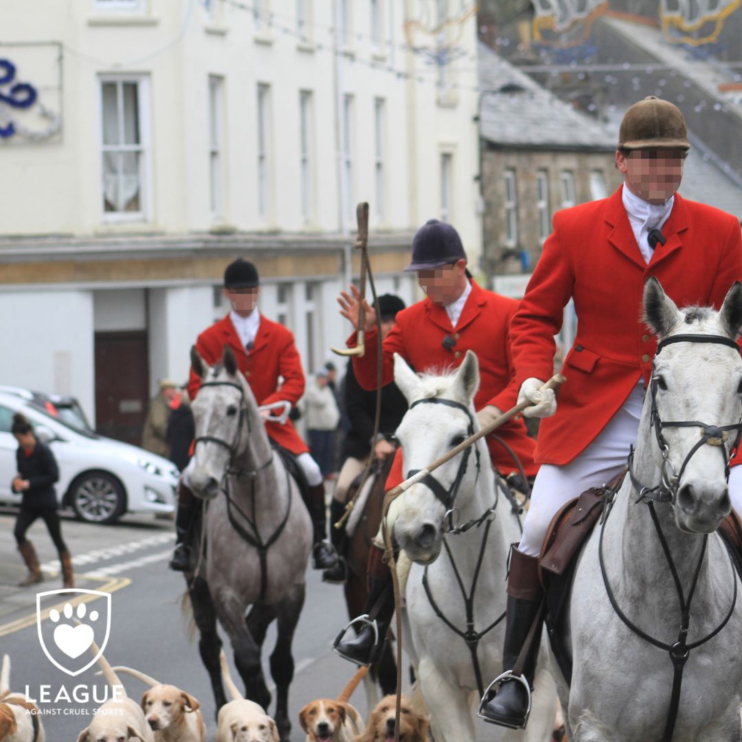 LeagueACS's tweet photo. 'What is even more startling is that these statistics only represent the events captured when hunts were being monitored or when members of the public happened to be present and report events. '

Read our latest blog👇🏼 

https://t.co/R73dPwchMo

#HuntingStatistics #TimeForChnage https://t.co/UiLaNOUwaq