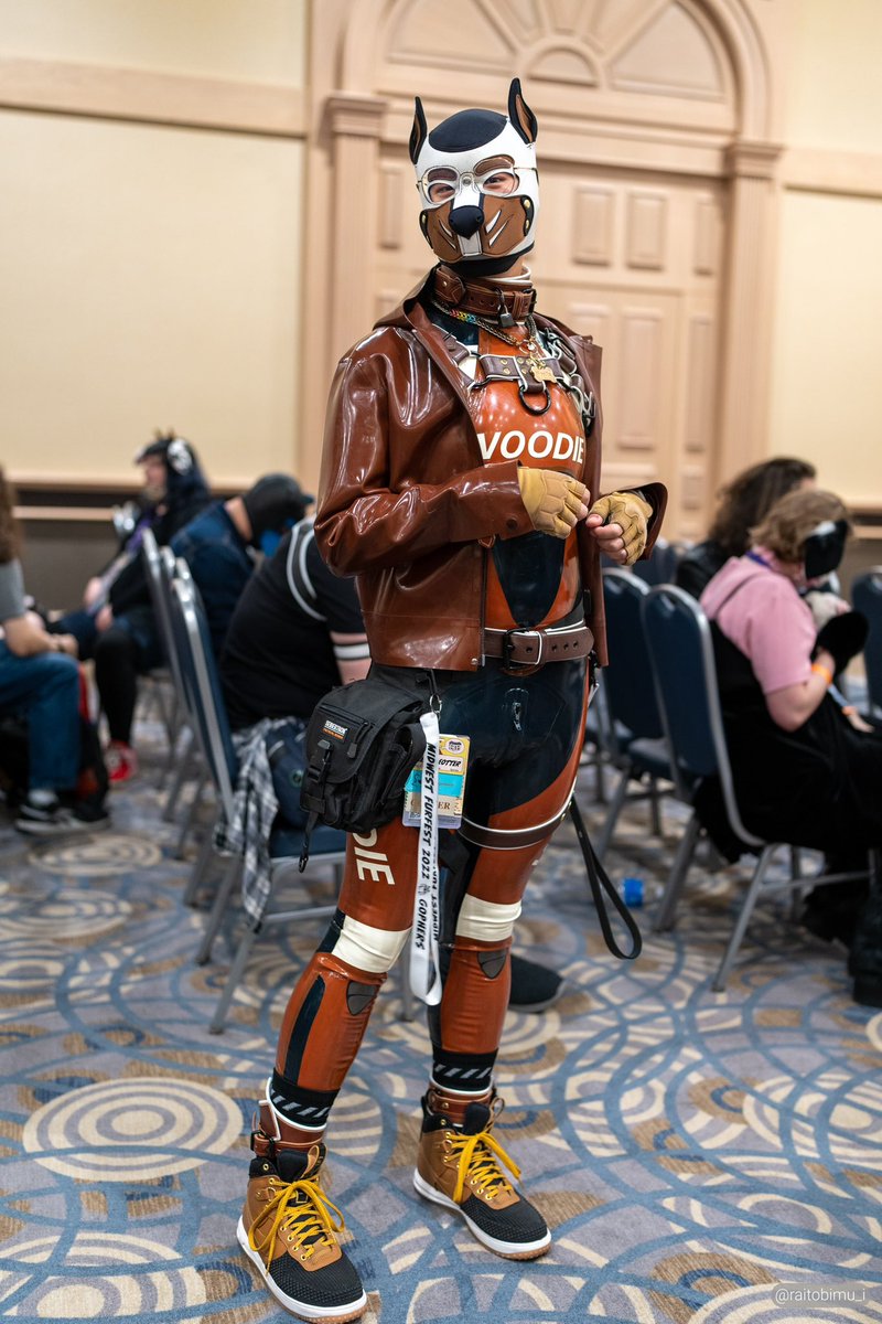 Pup Rally, MIR Photographer on Twitter "RT PupWoodie We lock eyes across the room 🫣🐾 📸