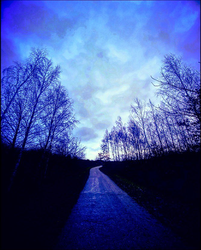 Looking Forward 

#LookingForward #LeadingLine #Pathway #Blue #Nature #NaturePhotography #Trees #BareTrees #Photography