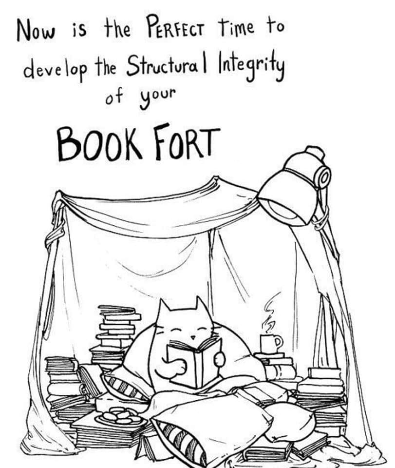 DobbsFerryLib's tweet photo. #bookfort #cold #weather #reading https://t.co/nIPa2jcMaW