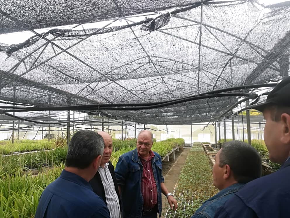 Visita de trabajo de <a href="/JorgeLuisTapiaF/">Jorge Luis Tapia Fonseca</a> y directivos del <a href="/MINAGCuba/">Ministerio de la Agricultura de Cuba</a> al <a href="/IBPCU/">Instituto de Biotecnología de las Plantas</a> 
Se discutieron importantes estrategias para la producción de semilla por métodos biotecnologicos, así como estrategias de integración entre la ciencia y la producción <a href="/UCLVCU/">UCLV 🇨🇺</a> <a href="/PresidenciaCuba/">Presidencia Cuba 🇨🇺</a> <a href="/CubaMES/">MES</a>