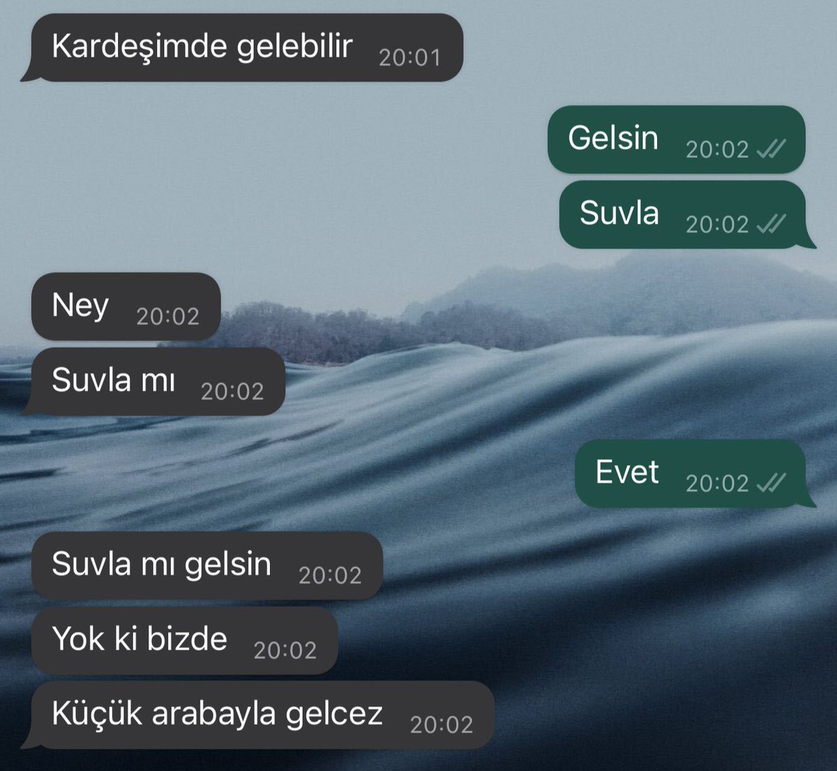 neyse temel ve dursun yemek yemeye suvla’ya gidecekmiş