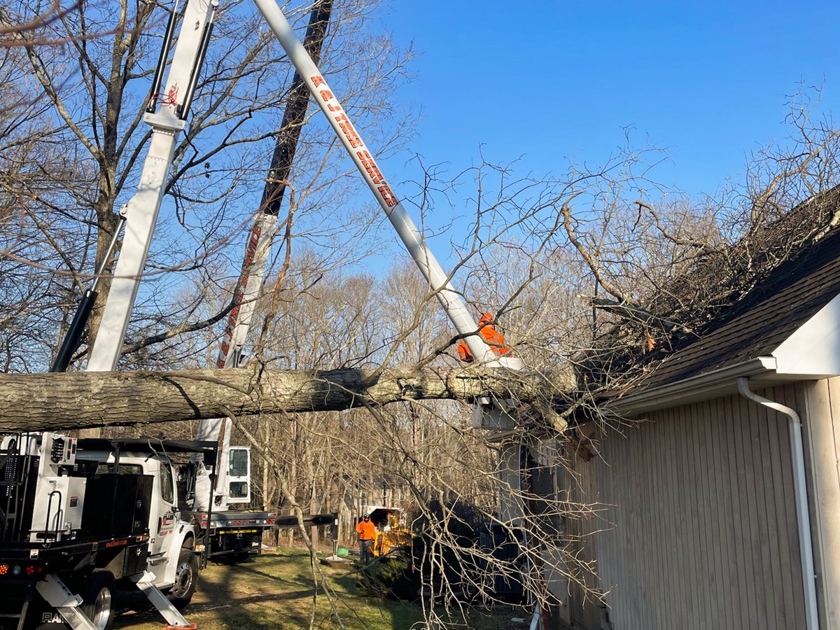 KJTreeService's tweet image. 12/24/22 - &quot;How much damage can one tree do?&quot;
#emergency #emergencytreework #treework #arborist #stihl #treelife #arblife #treecare #treeclimbing #treesurgeon #treeclimber #chainsaw #logger #tree #treeremoval #treeservice #arboriculture #trees #arboristsofinstagram #husqvarna