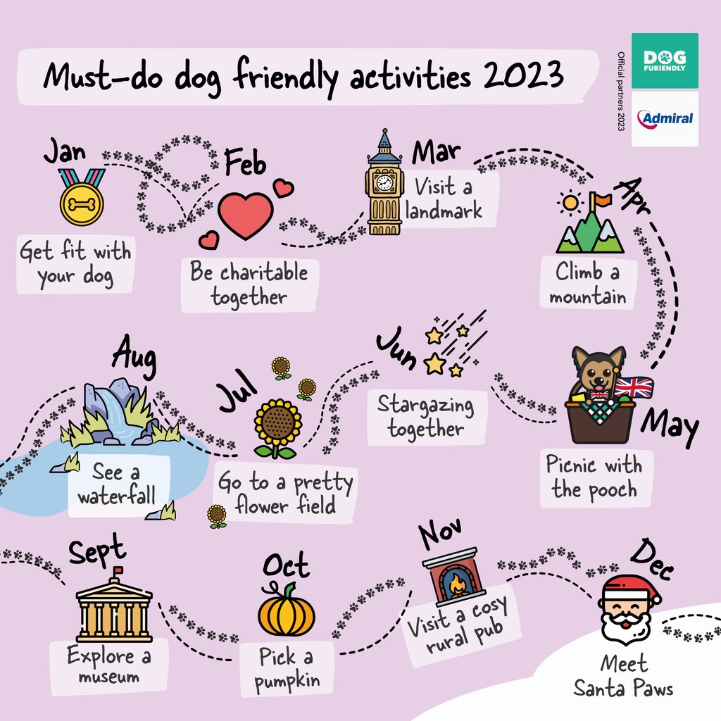 DogFuriendly's tweet image. Our must-do #activitylist empowers #dogowners to make the most of their time together and to celebrate each living moment. This can include things like taking them on a #hike, going to the #beach, or even just cuddling on the couch.🥰⁠

#twitterdogs

houndy.dogfuriendly.com/must-do-activi…
