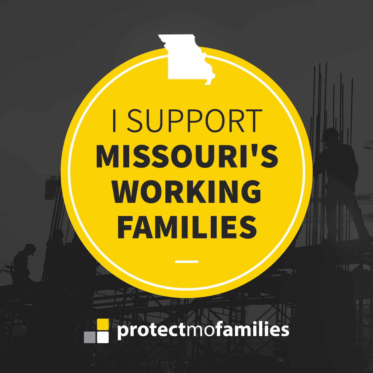 Protect MO Families tweet media