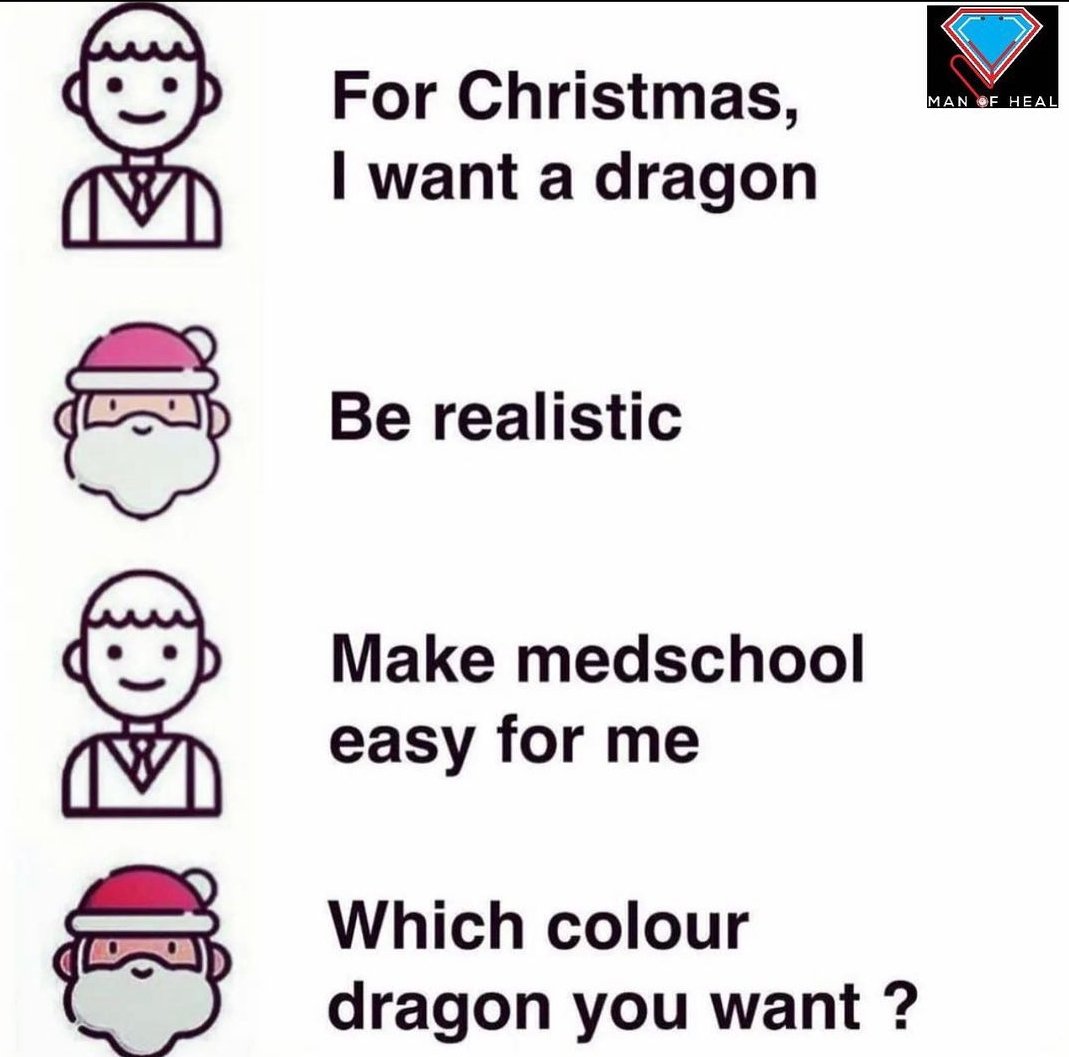 PeacePius24's tweet photo. Yup, Santa knows a dragon's more realistic than easy #medschool

#MedStudent https://t.co/yOnClELiWm