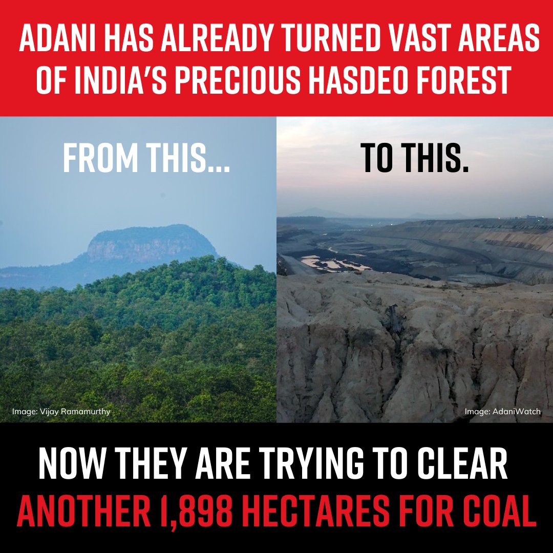 TribalArmy's tweet photo. Another devastating expose revealing how #Adani used manipulation, coercion and outright lies to trample Indigenous Adivasi communities in its relentless pursuit of coal in Chattisgarh’s precious Hasdeo forest. #StopAdani #SaveHasdeo https://t.co/oXy5B3FKc7… https://t.co/3SLL32GFkC